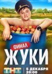 Жуки
