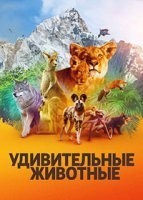 Удивительные животные